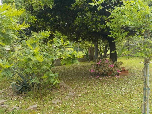 Appartamento in vendita a Santa Maria, Buggiano