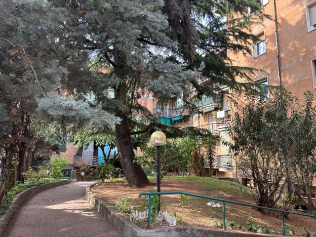 Appartamento in vendita a Sud-Ovest, Brenzone