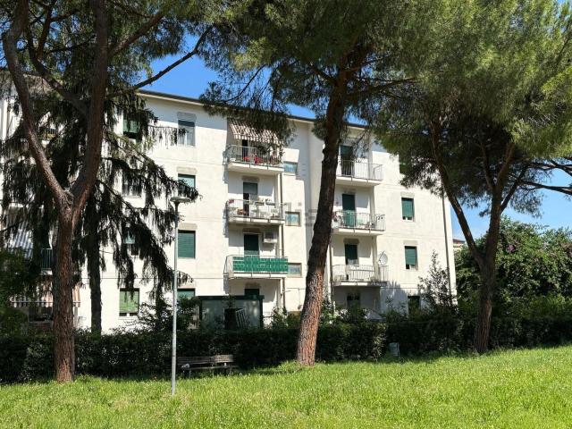 Appartamento in vendita a Rinchiostra, Marina Di Massa