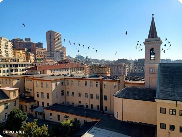 Appartamento in vendita a Centro Ovest, Serra Riccò