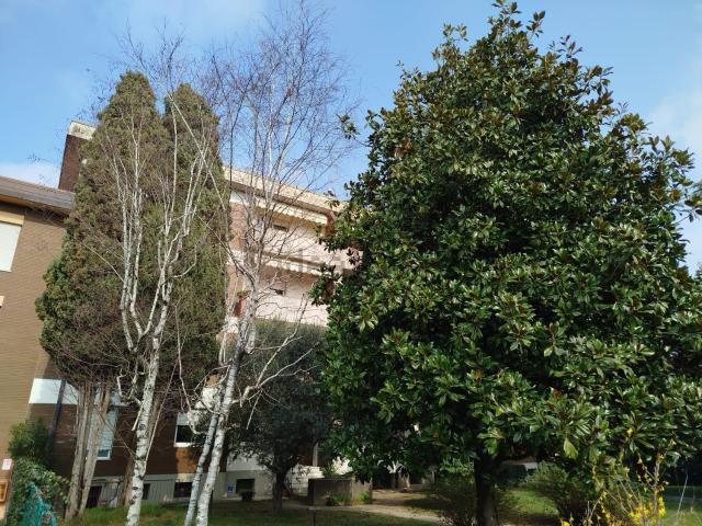 Appartamento in vendita a Case Levade, Pordenone