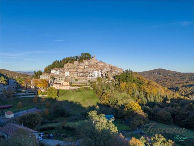 Appartamento in vendita a Gerfalco, Montieri