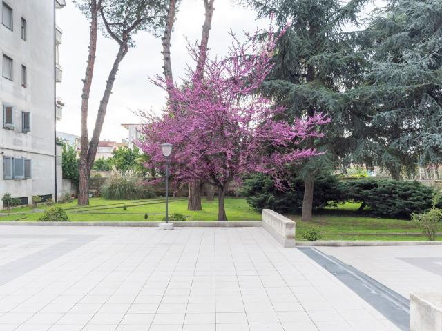 Appartamento in vendita a Rione 219, Melito Di Napoli
