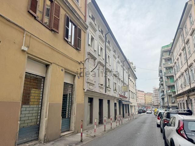 Appartamento in vendita a Barriera Vecchia-San Giacomo, Villa Opicina
