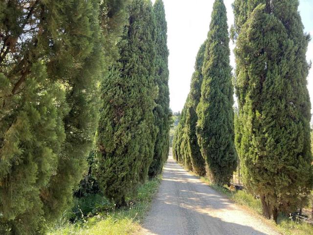 Appartamento in vendita a Barile, Pistoia