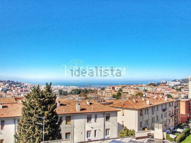 Appartamento in vendita a Marche, Ancona