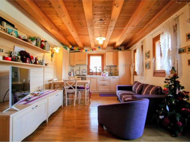Appartamento in vendita a Lorenzago Di Cadore, Veneto