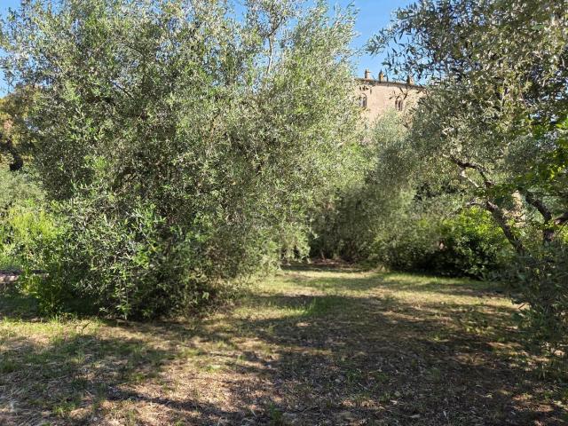 Attico in vendita a Montalcino, Toscana