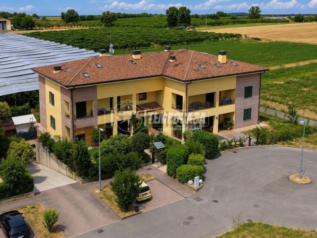 Appartamento in vendita a Unione di comuni Terre di Castelli, Vignola