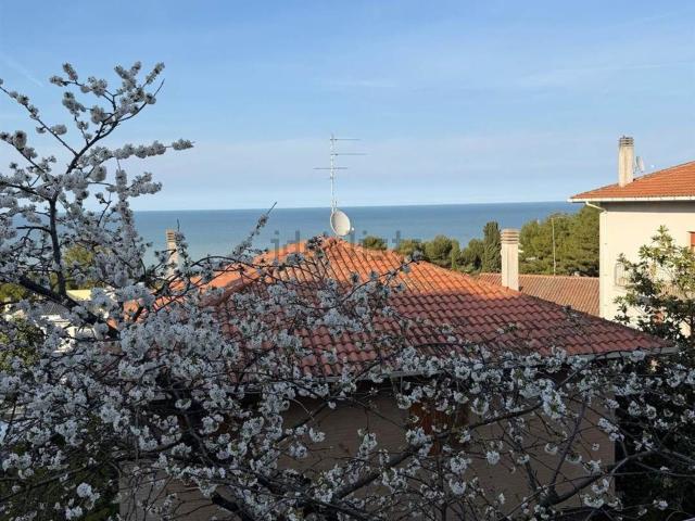 Appartamento in vendita a Marche, Ancona