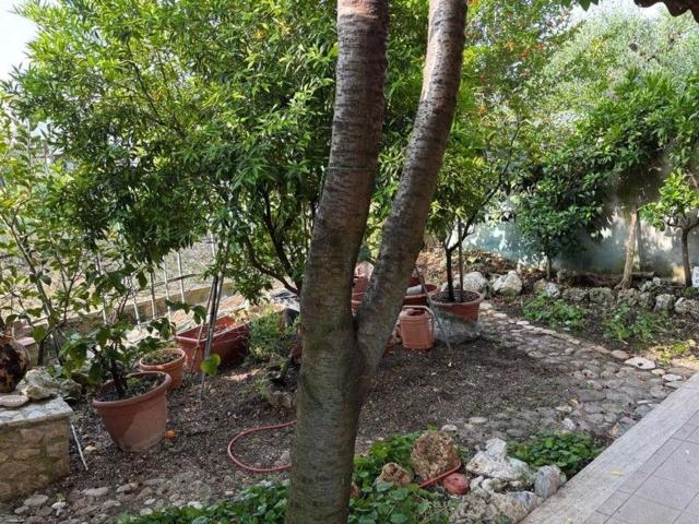 Appartamento in vendita a Terni, Umbria