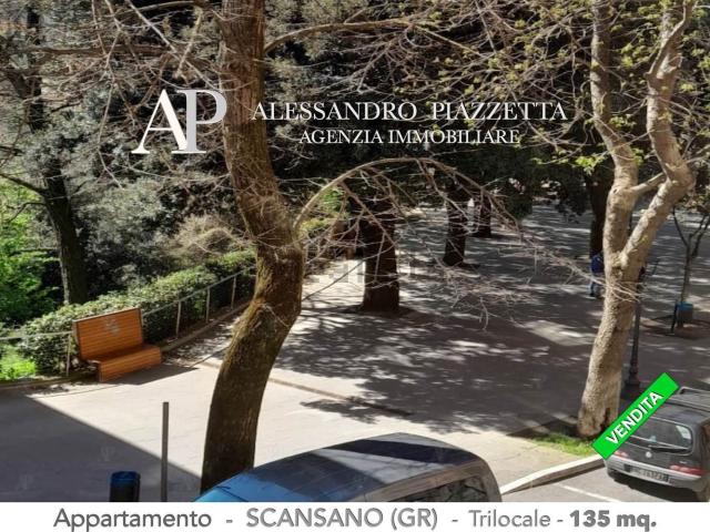 Appartamento in vendita a Scansano, Toscana