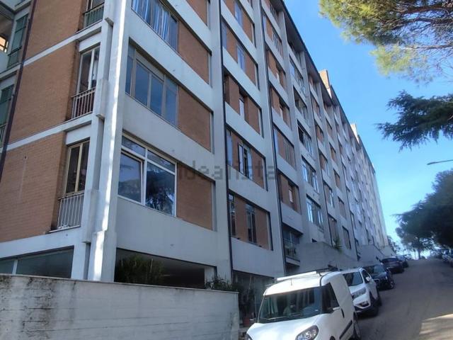 Appartamento in vendita a Santa Lucia, Cenerente