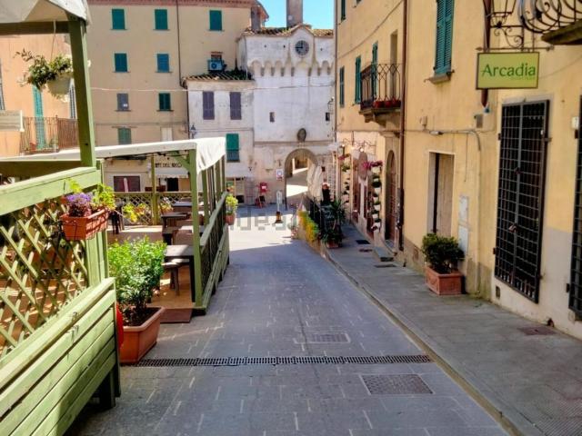 Appartamento in vendita a Scansano, Toscana
