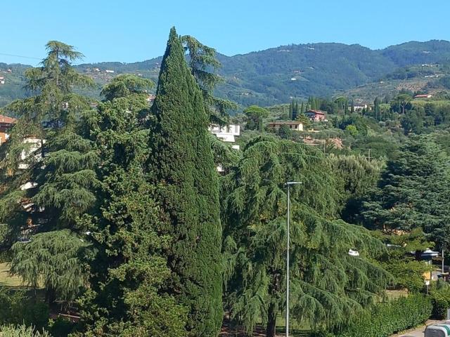 Appartamento in vendita a Montecatini Terme, Toscana