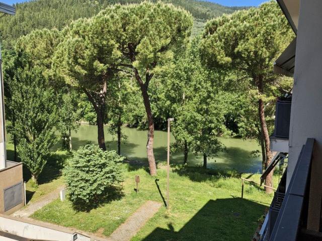 Appartamento in vendita a Unione di Comuni Valdarno e Valdisieve, Pelago