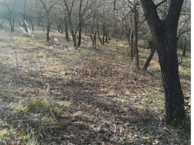 Appartamento in vendita a Centro storico, Fossombrone