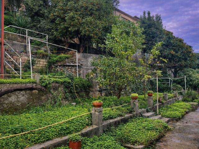 Appartamento in vendita a Oliveto, Imperia