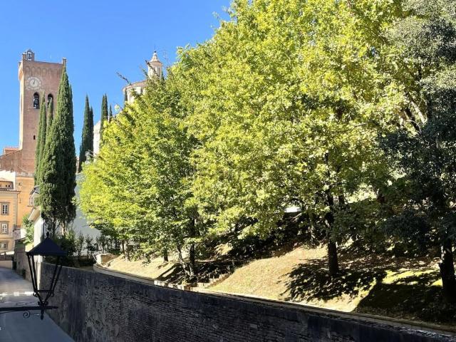 Appartamento in vendita a San Miniato, Toscana