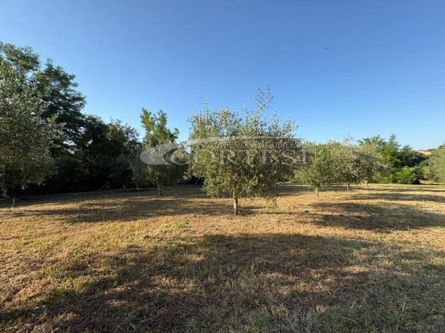 Appartamento in vendita a Ripalta, Marche