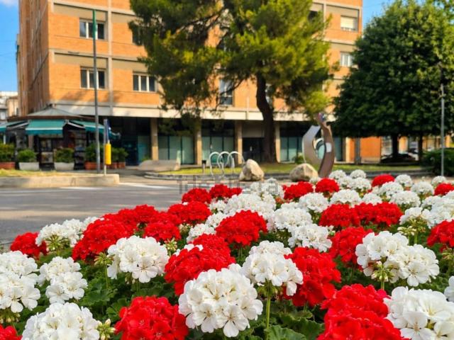 Attico in vendita a Teramo, Abruzzo