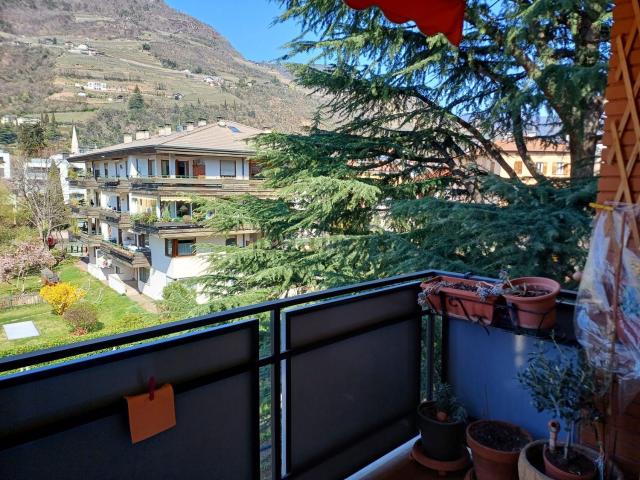 Appartamento in vendita a Gries-San Quirino - Gries-Quirein, Bolzano - Bozen