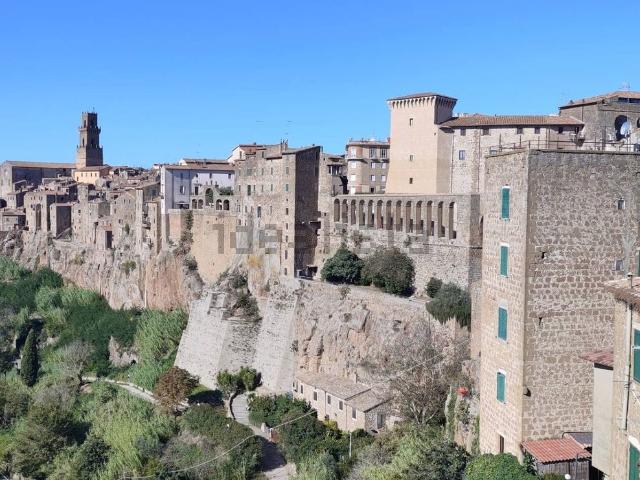 Appartamento in vendita a Pitigliano, Grosseto