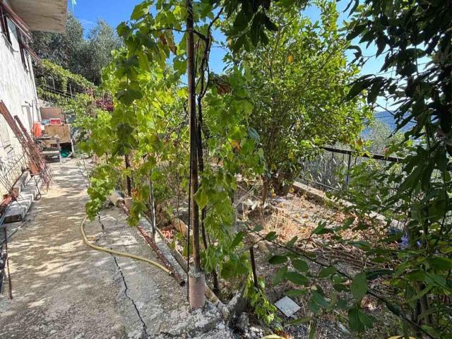 Appartamento in vendita a Castellaro, Liguria
