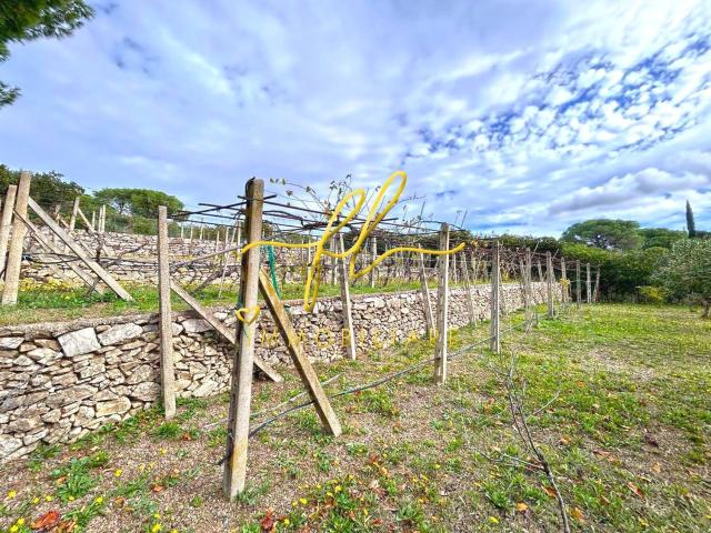 Appartamento in vendita a Campo nell'Elba, Marina Di Campo