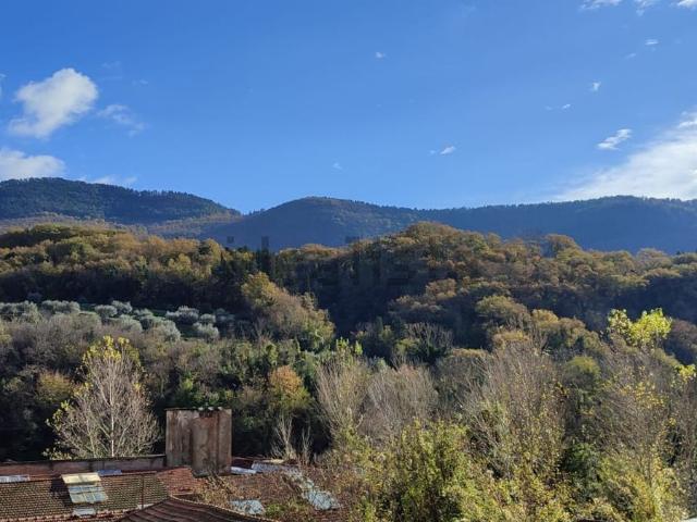 Appartamento in vendita a Popigliano, Vaiano