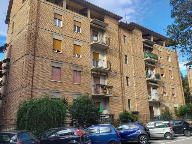 Appartamento in vendita a Porta Romana, Marche