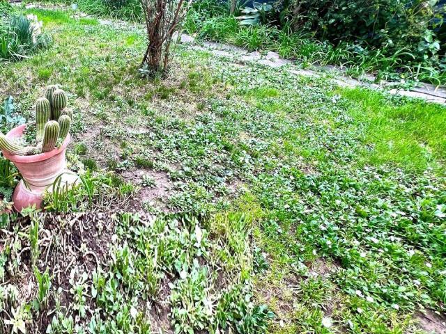 Appartamento in vendita a Unione dei Comuni Circondario dell'Empolese Valdelsa, Montelupo Fiorentino