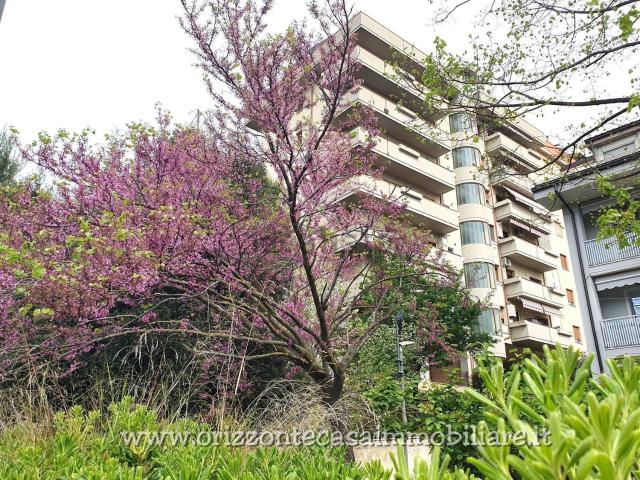 Appartamento in vendita a Villa Rosa, Marche