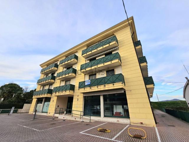 Appartamento in vendita a Motta, Este