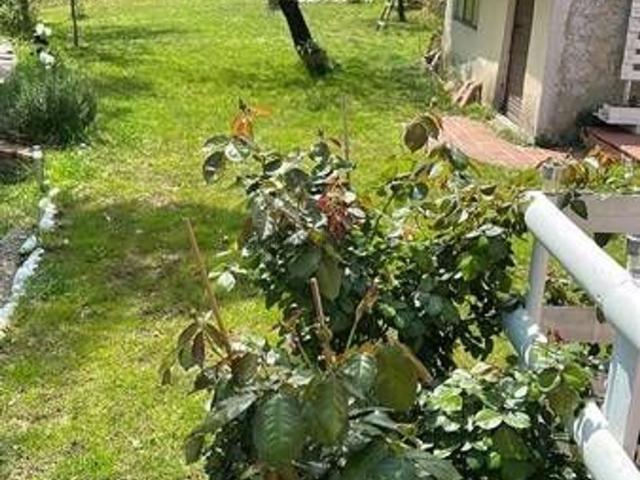 Appartamento in vendita a Santa Luce, Foiano Della Chiana