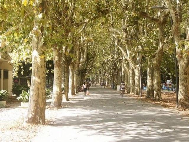 Appartamento in vendita a Viareggio, Toscana