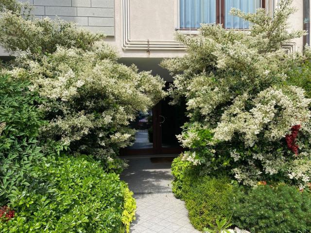 Attico in vendita a Padova