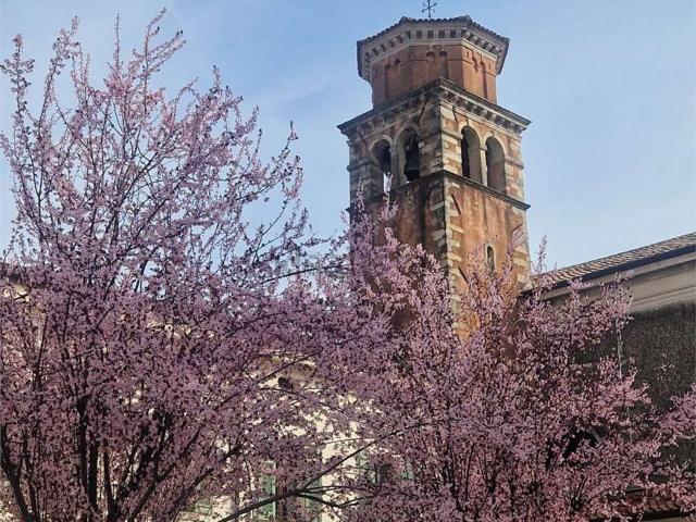 Appartamento in vendita a Salsa, Vittorio Veneto