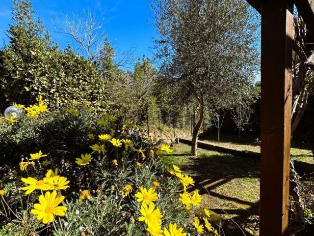 Appartamento in vendita a Roma Capitale, Lazio