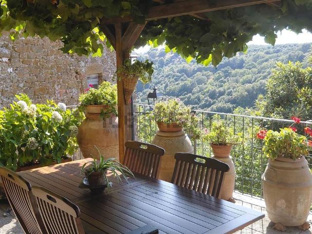 Appartamento in vendita a Scansano, Toscana
