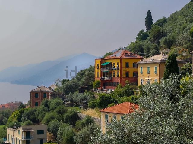 Appartamento in vendita a Il Boschetto, Camogli