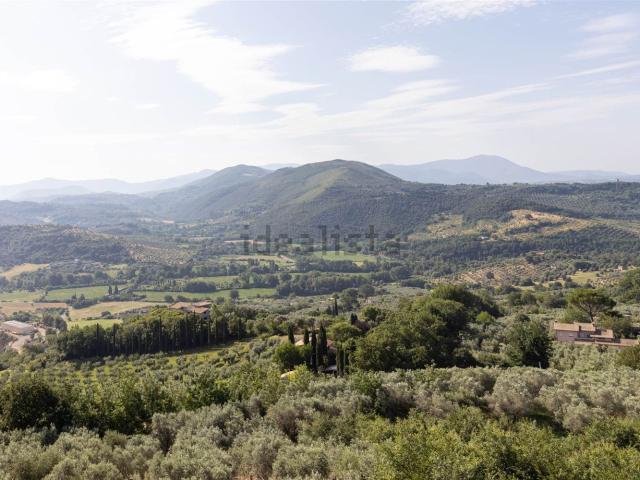 Appartamento in vendita a Montopoli Di Sabina, Lazio