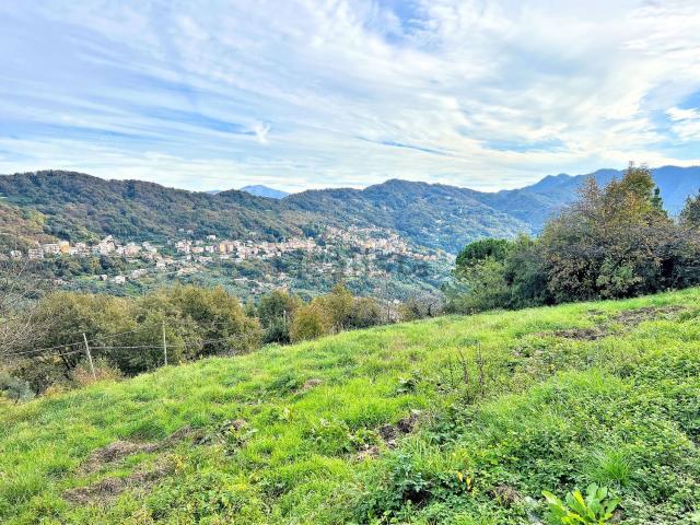 Appartamento in vendita a Calcinara, Tribogna
