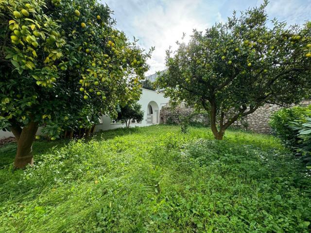 Appartamento in vendita a Capri, Campania