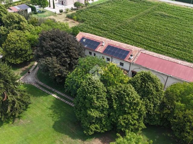 Appartamento in vendita a San Giovanni Lupatoto, Veneto