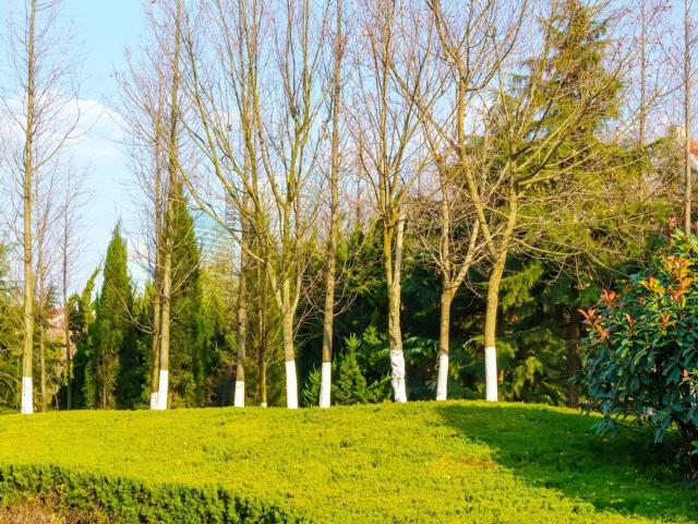 Appartamento in vendita a Lampugnano, Milano