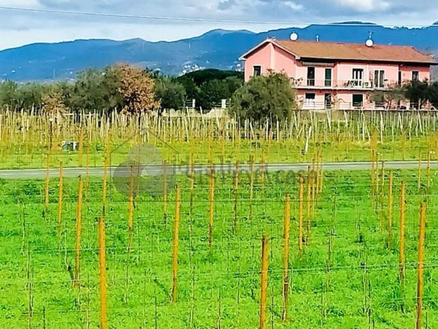 Appartamento in vendita a Luni, Liguria