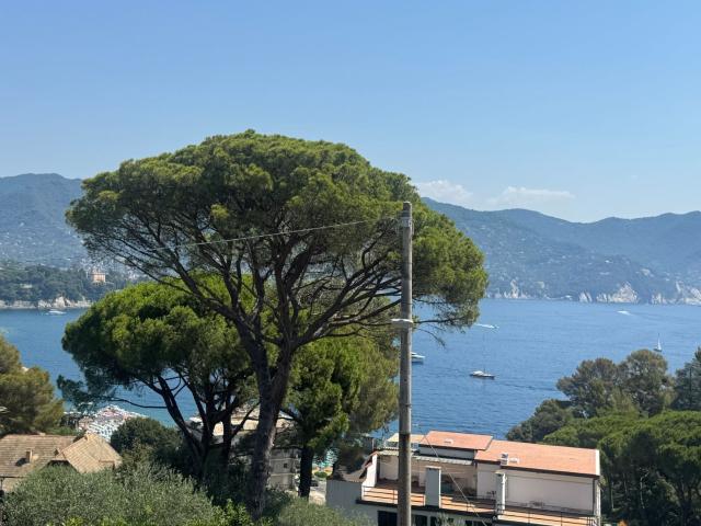 Appartamento in vendita a San Lorenzo Della Costa, Liguria