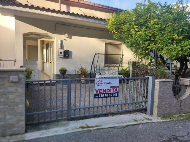 Appartamento in vendita a Pisciotta, Campania