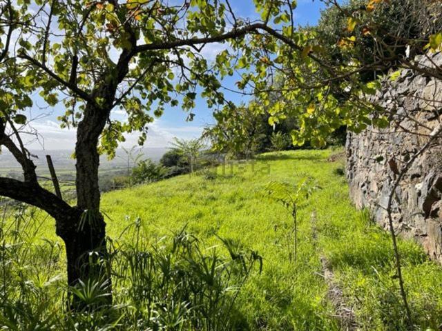 Appartamento in vendita a Macomer, Sardigna/Sardegna
